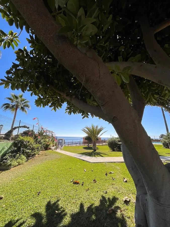 Apartment Studio On The Beach Front Malaga Spain